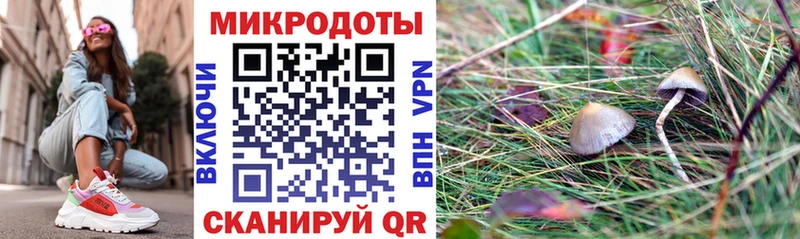 Галлюциногенные грибы GOLDEN TEACHER  Купить где  Данилов 